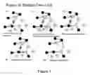 Fig. 08 - Wireless mesh routing protocol utilizing hybrid link state algorithms