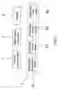 Fig. 03 - Thermal digital video camcorder having environment sensing element