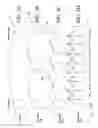 Fig. 06 - Methods and systems for achieving transition effects with MPEG-encoded picture content