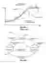 Fig. 02 - Adaptive phase recovery