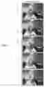 Fig. 08 - Image segmentation of foreground from background layers