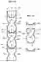 Fig. 06 - Long packaging material for manufacturing pouch
