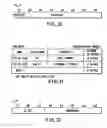 Fig. 31 - Information recording method, information recording medium, and information reproducing method, wherein information is stored on a data recording portion and a management information recording portion