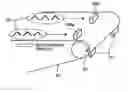 Fig. 01 - Image forming apparatus having image placement control and method of controlling same