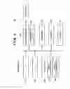 Fig. 03 - Image forming apparatus having image placement control and method of controlling same
