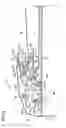 Fig. 02 - Automatic Document Feeder
