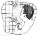 Fig. 01 - Soap dispensing attachment for hand-held appliance