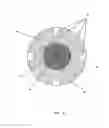 Fig. 07 - Apparatus and method for releasing a measured amount of content from a container