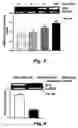 Fig. 03 - Targeting pulmonary epithelium using ADRP