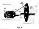 Fig. 06 - Targeting pulmonary epithelium using ADRP