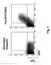 Fig. 02 - Methods and compositions for modulating the interaction between adiponectin and its receptor