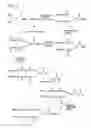 Fig. 03 - Releasable polymeric conjugates based on aliphatic biodegradable linkers