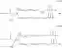 Fig. 23 - Releasable polymeric conjugates based on aliphatic biodegradable linkers