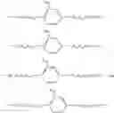 Fig. 25 - Releasable polymeric conjugates based on aliphatic biodegradable linkers