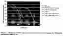 Fig. 02 - Pegylated immunoglobulin variable region polypeptides