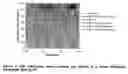 Fig. 03 - Pegylated immunoglobulin variable region polypeptides