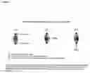 Fig. 07 - Pegylated immunoglobulin variable region polypeptides