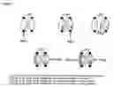 Fig. 10 - Pegylated immunoglobulin variable region polypeptides