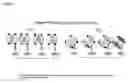 Fig. 13 - Pegylated immunoglobulin variable region polypeptides