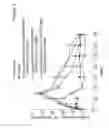 Fig. 07 - G-CSF conjugates