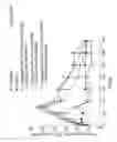 Fig. 07 - G-CSF conjugates