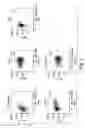 Fig. 03 - Methods related to immunostimulatory nucleic acid-induced interferon