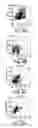 Fig. 09 - Methods related to immunostimulatory nucleic acid-induced interferon