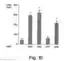 Fig. 11 - Methods related to immunostimulatory nucleic acid-induced interferon