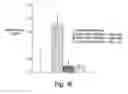 Fig. 16 - Methods related to immunostimulatory nucleic acid-induced interferon