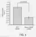 Fig. 05 - Compositions and methods for siRNA inhibition of angiogenesis
