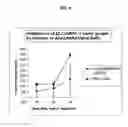Fig. 07 - Methods for immunotherapy of cancer