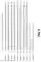 Fig. 09 - Tissue inhibitor of metalloproteinase type three (TIMP-3) composition and methods