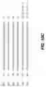 Fig. 25 - Tissue inhibitor of metalloproteinase type three (TIMP-3) composition and methods