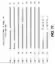 Fig. 26 - Tissue inhibitor of metalloproteinase type three (TIMP-3) composition and methods