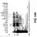 Fig. 32 - Tissue inhibitor of metalloproteinase type three (TIMP-3) composition and methods