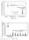 Fig. 10 - Recombinant alpha-L-iduronidase, methods for producing and purifying the same and methods for treating diseases caused by deficiencies thereof