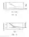Fig. 11 - Recombinant alpha-L-iduronidase, methods for producing and purifying the same and methods for treating diseases caused by deficiencies thereof