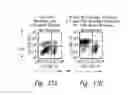 Fig. 19 - Compositions and methods for the treatment of burns and sepsis