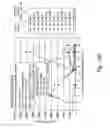 Fig. 22 - Compositions and methods for the treatment of burns and sepsis