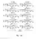 Fig. 24 - Compositions and methods for the treatment of burns and sepsis