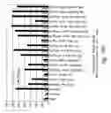 Fig. 34 - Compositions and methods for the treatment of burns and sepsis