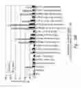 Fig. 36 - Compositions and methods for the treatment of burns and sepsis