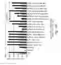 Fig. 37 - Compositions and methods for the treatment of burns and sepsis