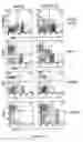 Fig. 08 - Soluble receptor BR43x2