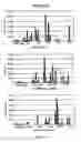 Fig. 12 - Soluble receptor BR43x2
