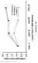 Fig. 15 - Soluble receptor BR43x2