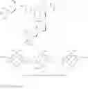 Fig. 101 - Stable antibody formulation