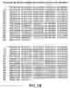 Fig. 03 - Synthetic gene encoding rhesus monkey carcinoembryonic antigen and uses thereof
