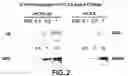 Fig. 04 - Synthetic gene encoding rhesus monkey carcinoembryonic antigen and uses thereof