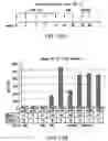 Fig. 14 - Synthetic gene encoding rhesus monkey carcinoembryonic antigen and uses thereof